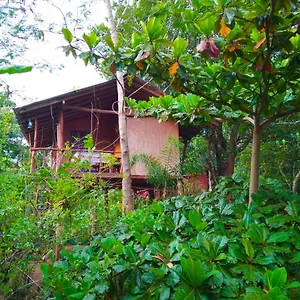  Habitación en casa particular Akash Treehouse Sri Lanka